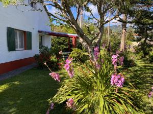 Appartement Ingwer, Floramar