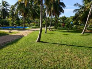 Coconut Grove Beach Cabanas