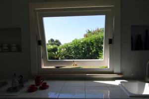 Mirto 11 img13