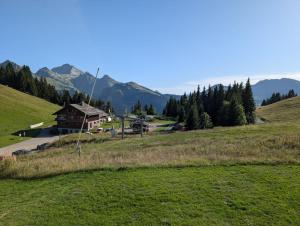 Appartement montagne au col de merdassier, Manigod