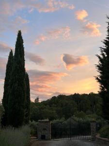 Casale 222