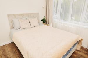 P35 Studio near Old Town