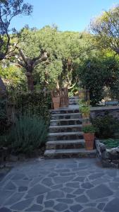 Al Galletto Apartment