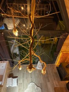 Peak ayder bungalow