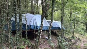 Gio Camping Shala River