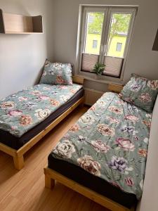 Apartament nad jeziorem Bielawskim