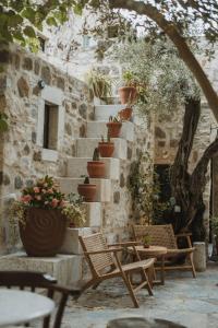 Ha La Bodrum