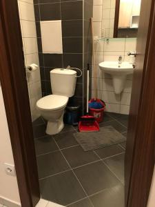 COSY and SPACIOUS APARTMENT C30