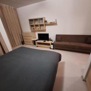 COSY and SPACIOUS APARTMENT C30