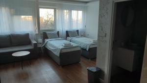 Pek 1, new Belgrade