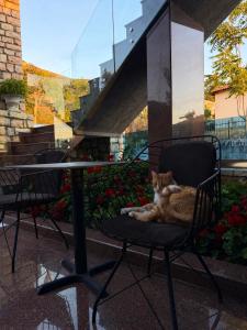 Hotel Albsin