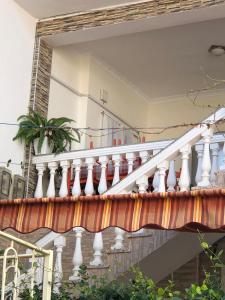 Apartment in Velipojë, Albania