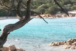 Mono Paradise Piccolo angolo di relax in centro img24