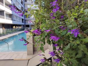 Prime21 Gran vista, calefactor, wifi, parking, Gym
