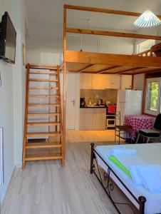 Lilys Studios