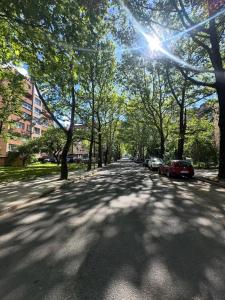 Green Avenue Studio - City Center