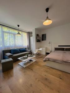 Green Avenue Studio - City Center
