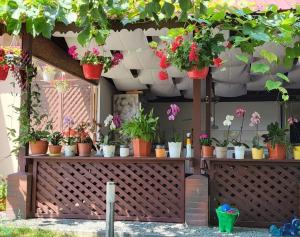 Casa Sunshine