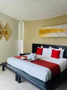 Apartment with Pool, Gym & AC Suite