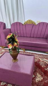 شاليه دانة