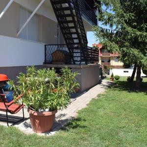 Andrea Apartman