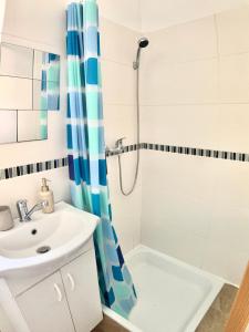 Apartmán Růžovka