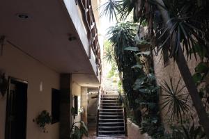 Chuk-Kay by ÓOL Hotels