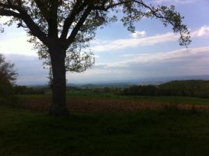 L'Auberge photo 15