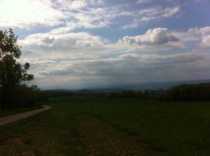 L'Auberge photo 9