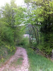 L'Auberge photo 6