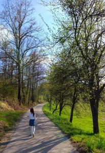 Vila Sofija Mokra Gora