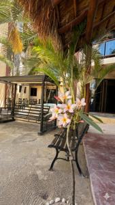 Jardín del Mar by ÓOL Hotels