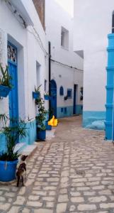 Authentic house in the historic Medina of Bizerte