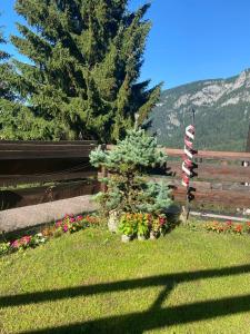Casetta dei Cuori - Alpine Style Cozy Apartment