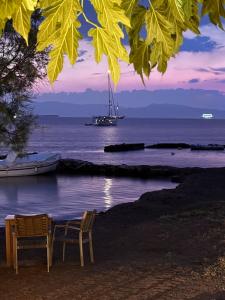 Elegant Aegina Apartment