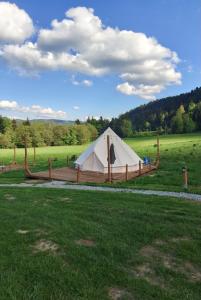 Glamping-Dimbo