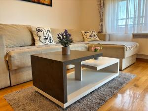 Apartman Luna Binis Zlatibor