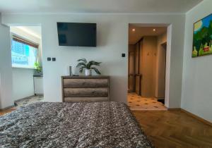 Kotwica Apartment