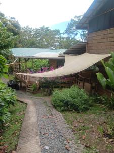 Eden Jungle Lodge