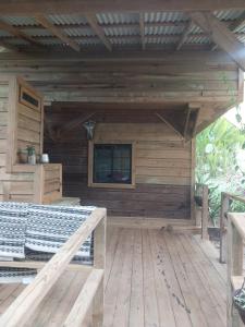 Eden Jungle Lodge