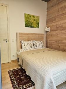 Su terasa jaukus apartamentas