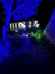 Villa Starova