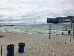 Apartament Gruba Foka