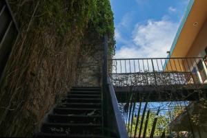 Patio Canarias Chacala Suites Pet-Friendly