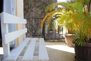 Patio Canarias Chacala Suites Pet-Friendly