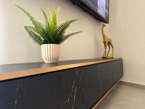 ArtApart Punta Arena