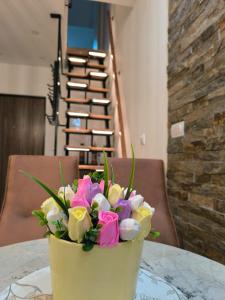 Apartman Izvor Tišine