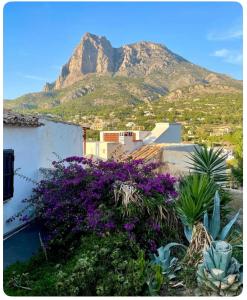 Casa de Sueños - village house