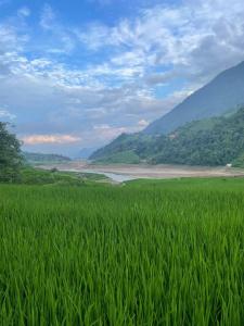 HOMESTAY ZIZI-SINh