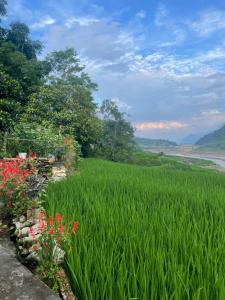 HOMESTAY ZIZI-SINh